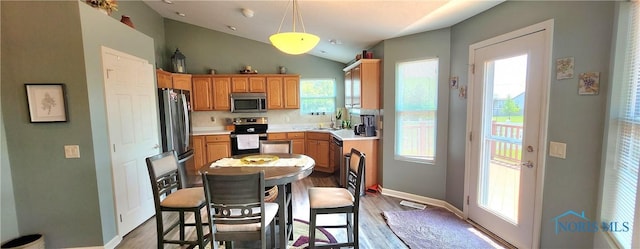 149 Carlee Ln, Findlay, OH 45840 - kitchen with stainless steel appliances, plenty of natural light, lofted ceiling, and light countertops