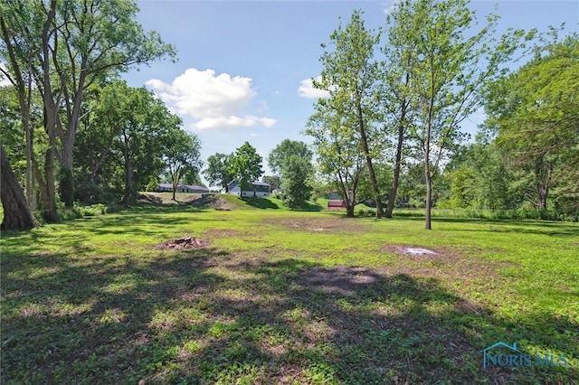 7538 Bauman St, Holland, OH 43528 - photo 47