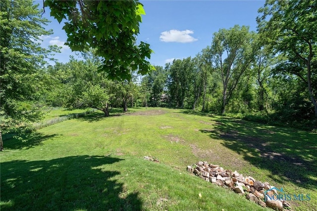 7538 Bauman St, Holland, OH 43528 - photo 44
