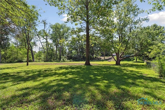 7538 Bauman St, Holland, OH 43528 - photo 46
