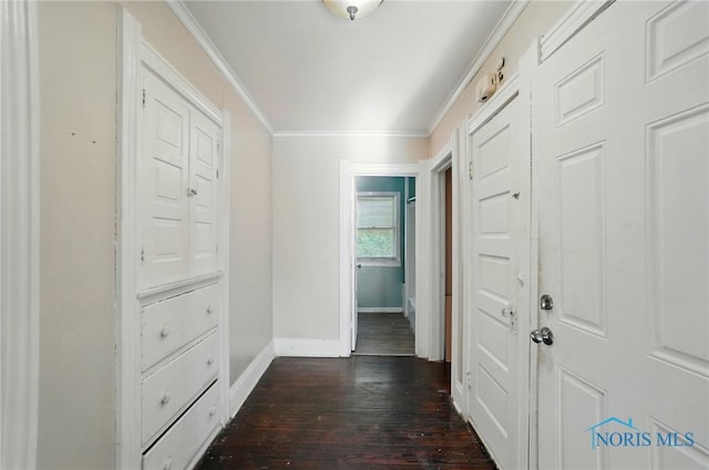 2727 Robinwood Ave, Toledo, OH 43610 - hall featuring dark wood finished floors and ornamental molding