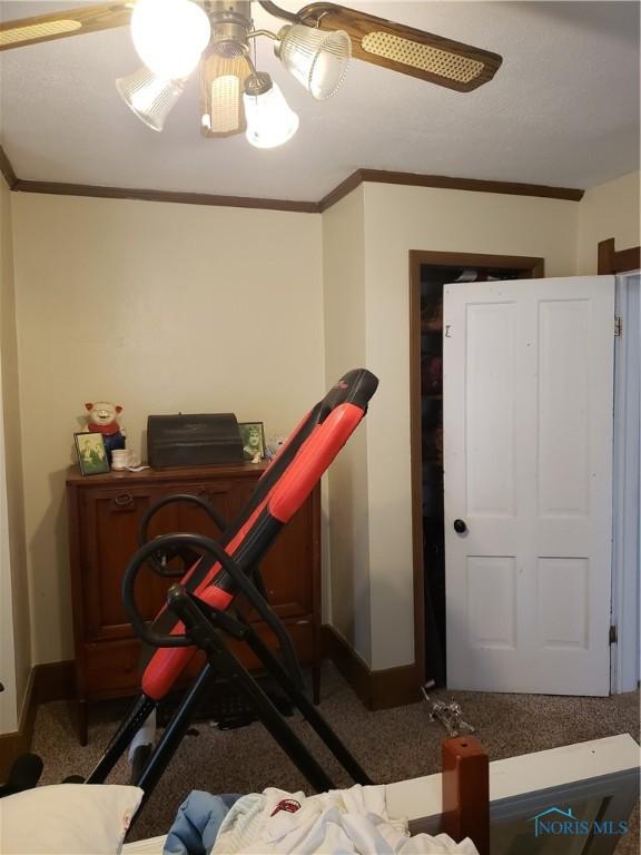620 N Main St, Bowling Green, OH 43402 - photo 18