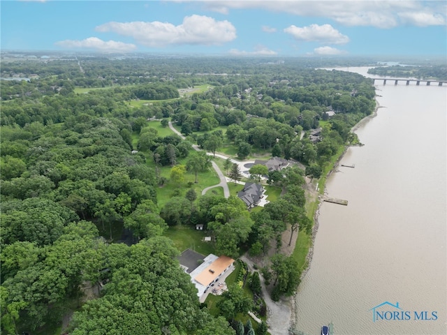 29819 E River Rd, Perrysburg, OH 43551 - photo 50