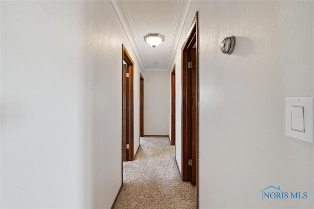 17715 Mitchell Rd, Bowling Green, OH 43402 - hall featuring light colored carpet and crown molding