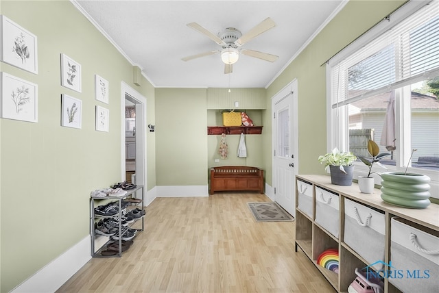 3743 Woodmont Rd, Toledo, OH 43613 - interior space with ornamental molding and light wood-type flooring