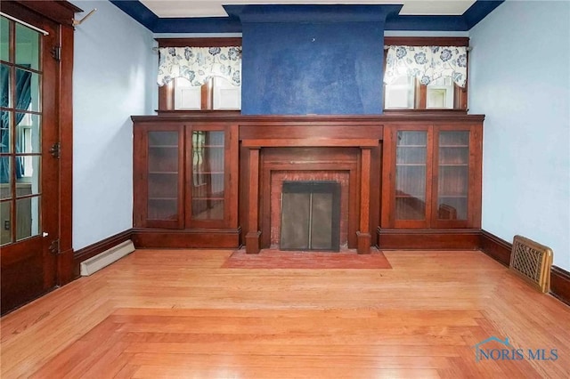 12044 W Duff Washa Rd, Oak Harbor, OH 43449 - detailed view of a fireplace with flush hearth and a baseboard heating unit