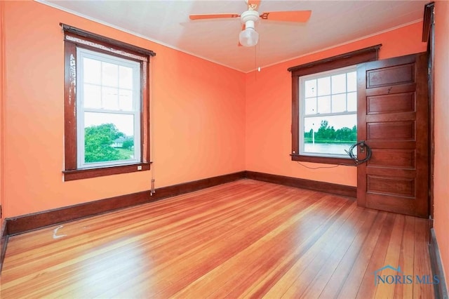 12044 W Duff Washa Rd, Oak Harbor, OH 43449 - empty room with light wood-style flooring, a ceiling fan, and crown molding