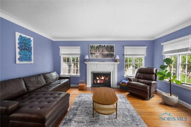 3740 Mapleway Dr, Toledo, OH 43614 - living area featuring a fireplace with flush hearth, wood finished floors, and crown molding