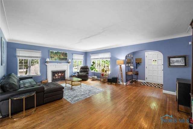 3740 Mapleway Dr, Toledo, OH 43614 - living room featuring arched walkways, wood finished floors, and a fireplace with flush hearth