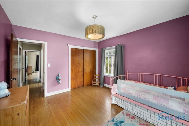 3740 Mapleway Dr, Toledo, OH 43614 - bedroom with wood finished floors and a closet