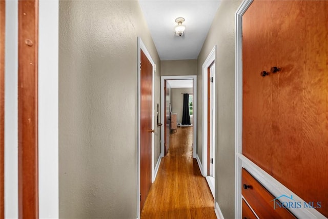 3740 Mapleway Dr, Toledo, OH 43614 - hallway featuring wood finished floors and a textured wall