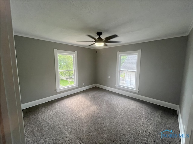 4032 Burnham Ave, Toledo, OH 43612 - spare room with plenty of natural light, crown molding, carpet, and ceiling fan