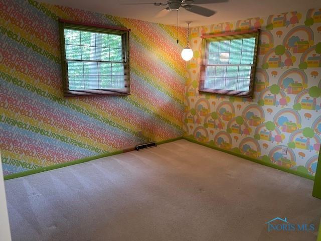 5235 Carlingfort Dr, Toledo, OH 43623 - photo 36