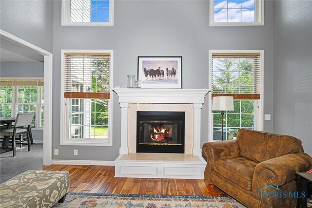 7910 Quail Creek Rd, Maumee, OH 43537 - living room with wood finished floors, a towering ceiling, and a glass covered fireplace