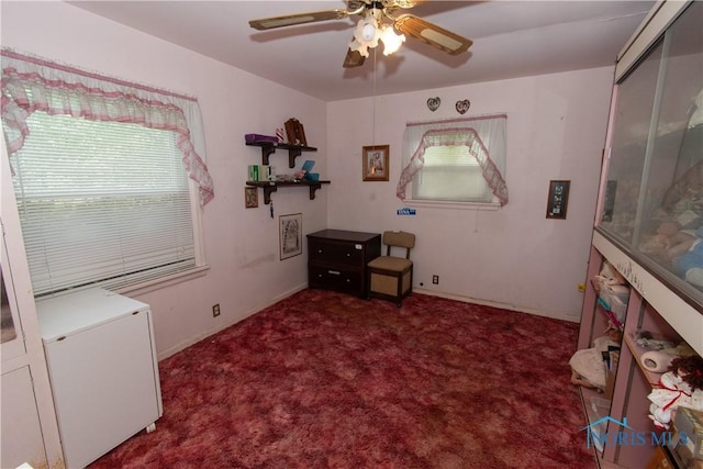 2823 Wicklow Rd, Toledo, OH 43606 - bedroom featuring carpet floors and ceiling fan