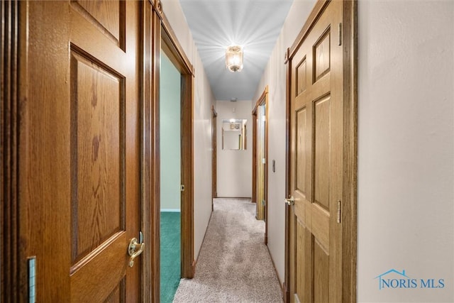 6005 Bahiamar Rd, Toledo, OH 43611 - hallway featuring light colored carpet