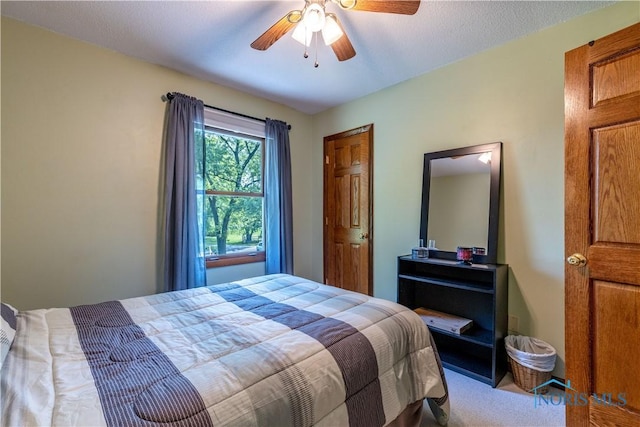 5868 Winslow Rd, Whitehouse, OH 43571 - bedroom with carpet floors and ceiling fan