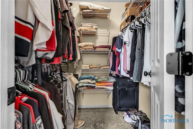 740 Tarra Oaks Dr, Findlay, OH 45840 - view of walk in closet