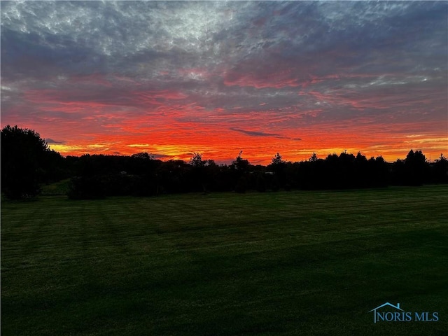 15571 Sunset Maple Dr, Perrysburg, OH 43551 - photo 41