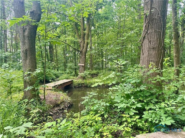 3391 Rd 144, Antwerp, OH 45813 - view of woods