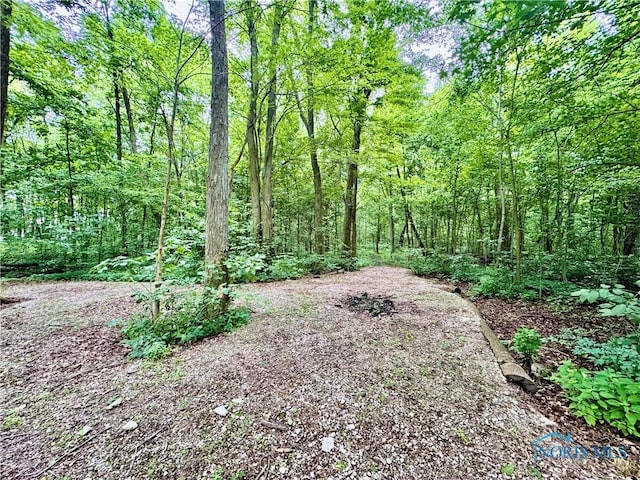 3391 Rd 144, Antwerp, OH 45813 - view of wooded area