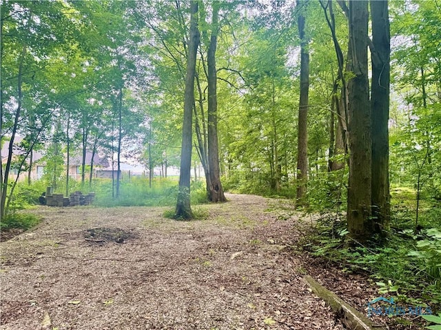 3391 Rd 144, Antwerp, OH 45813 - view of local wilderness