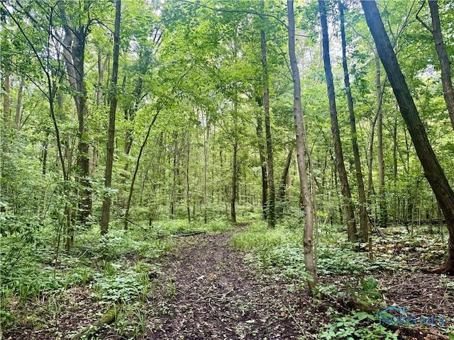 3391 Rd 144, Antwerp, OH 45813 - view of wooded area