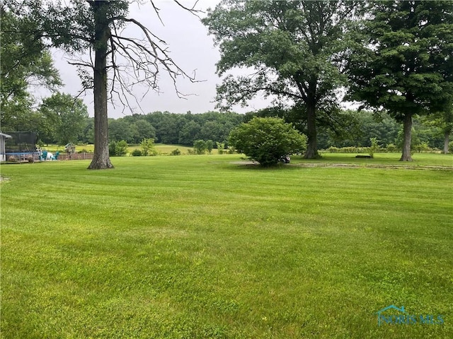 6432 State Route 576, Bryan, OH 43506 - view of green lawn with a trampoline