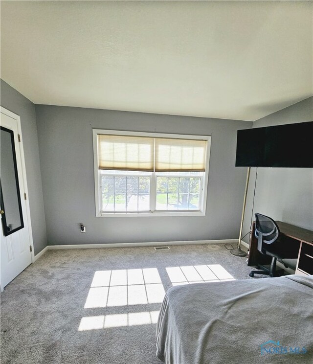 1232 Grassy Ct, Rossford, OH 43460 - photo 22