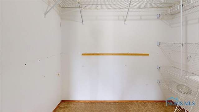 628 W Maple St, Clyde, OH 43410 - spacious closet with carpet floors