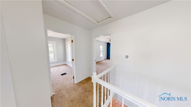 628 W Maple St, Clyde, OH 43410 - hallway with attic access, light carpet, healthy amount of natural light, and an upstairs landing