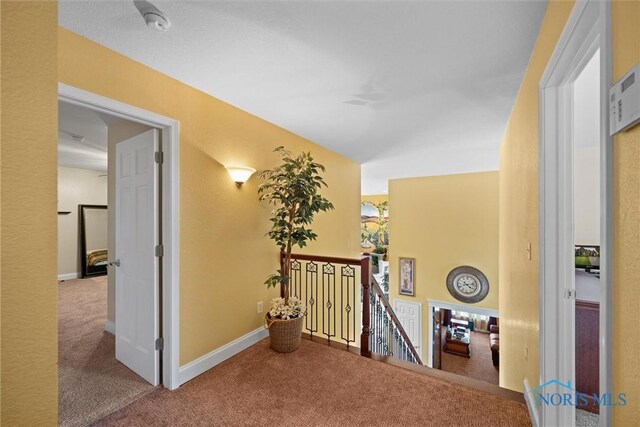 710 High Pines Dr, Toledo, OH 43615 - photo 33
