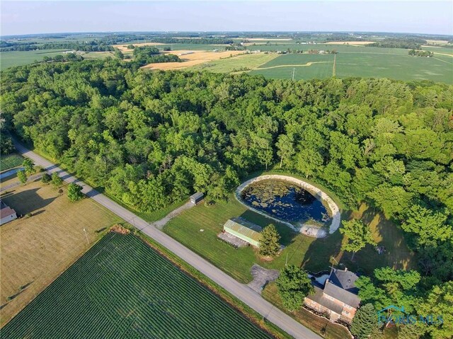 13825 County Road 54, Rawson, OH 45881 - photo 40
