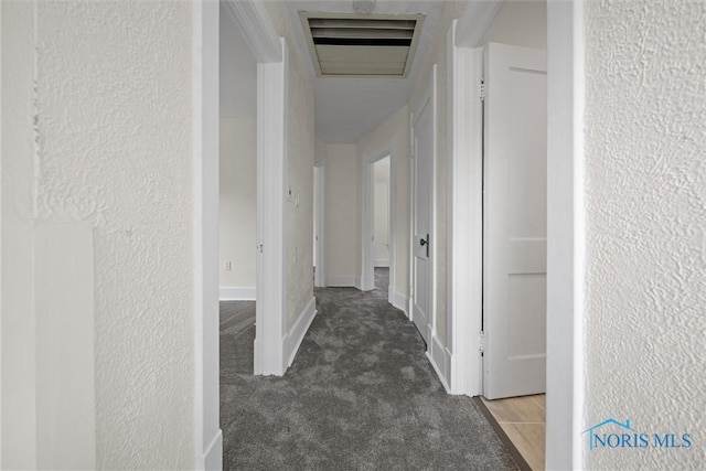 3504 Willys Pkwy, Toledo, OH 43612 - hall with a textured wall and carpet floors