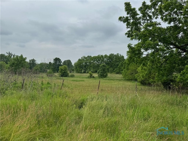 1447 US Highway 20, Edon, OH 43518 - view of local wilderness with rural landscape