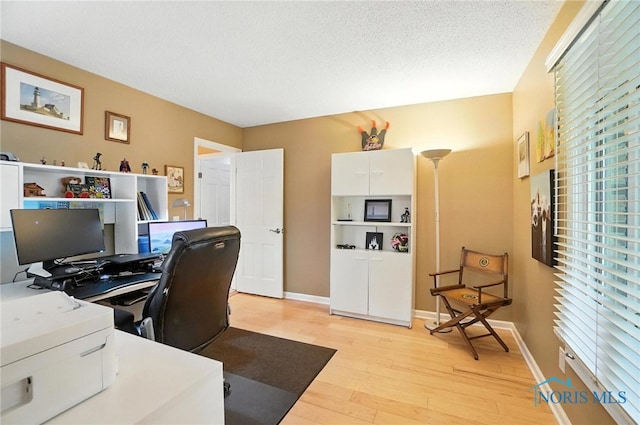 4329 Woodbriar Dr, Toledo, OH 43623 - office space with light wood finished floors and a textured ceiling