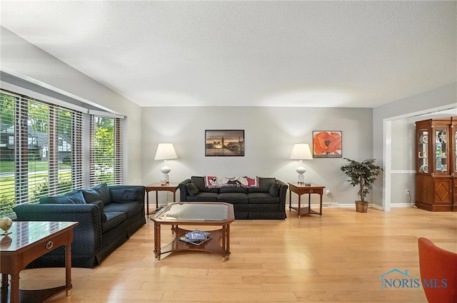 4329 Woodbriar Dr, Toledo, OH 43623 - living area with light wood finished floors and a textured ceiling