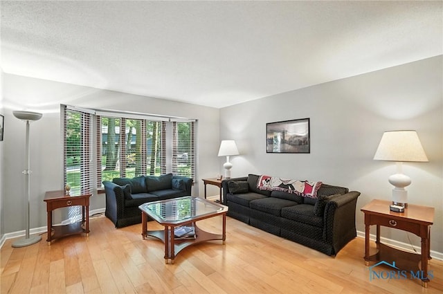 4329 Woodbriar Dr, Toledo, OH 43623 - living room featuring light wood-style flooring and baseboards