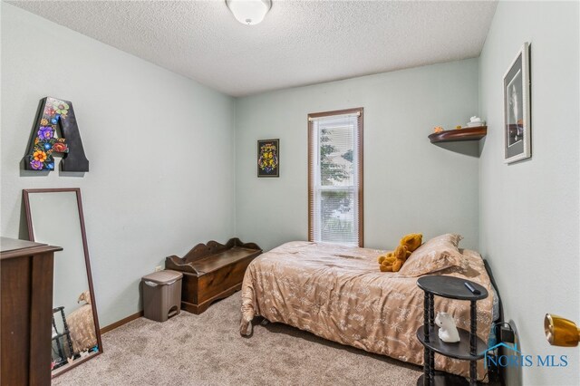 6727 Pelton Dr, Whitehouse, OH 43571 - photo 31