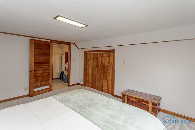 160 Wilkshire Dr, Waterville, OH 43566 - bedroom with carpet floors and a closet