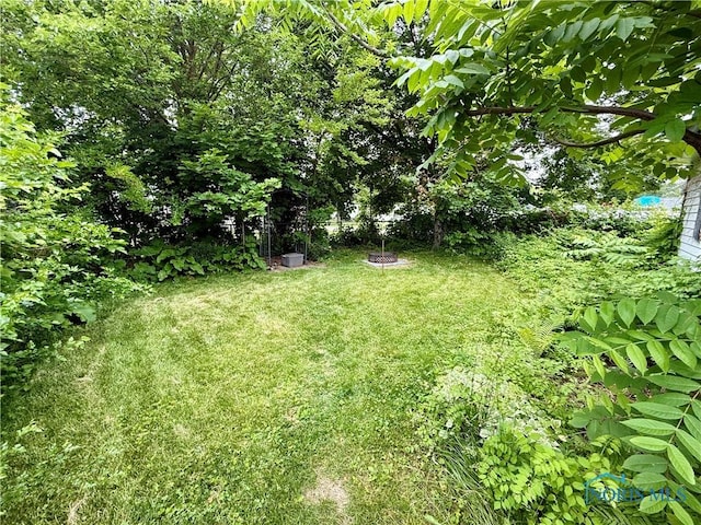 613 Maplewood Ave, Delta, OH 43515 - view of grassy yard