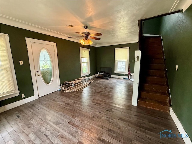 613 Maplewood Ave, Delta, OH 43515 - entrance foyer featuring wood finished floors, ceiling fan, ornamental molding, and stairs