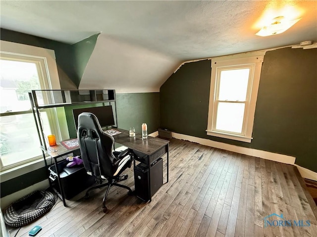 613 Maplewood Ave, Delta, OH 43515 - office with hardwood / wood-style floors, plenty of natural light, and vaulted ceiling