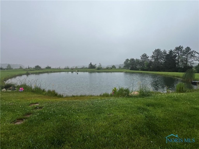 J-088 County Road 14, Napoleon, OH 43545 - photo 4