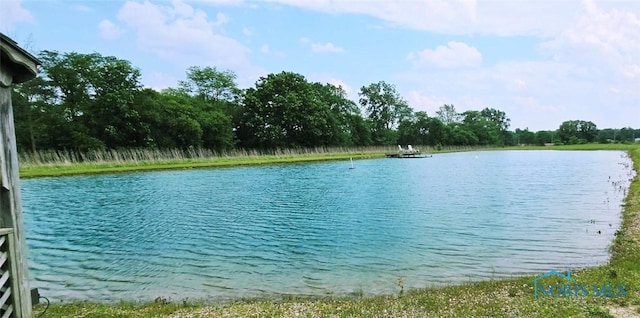 17738 County Rd E, Bryan, OH 43506 - water view