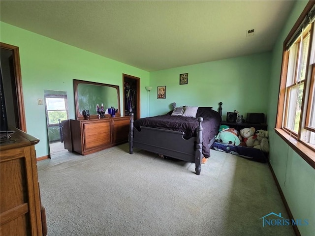 17738 County Rd E, Bryan, OH 43506 - view of carpeted bedroom