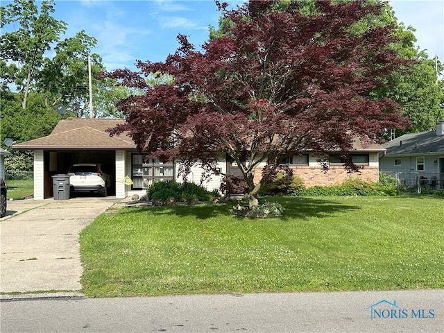 5916 E Benalex Dr, Toledo, OH 43612 - view of property hidden behind natural elements featuring a front lawn, concrete driveway, and an attached carport