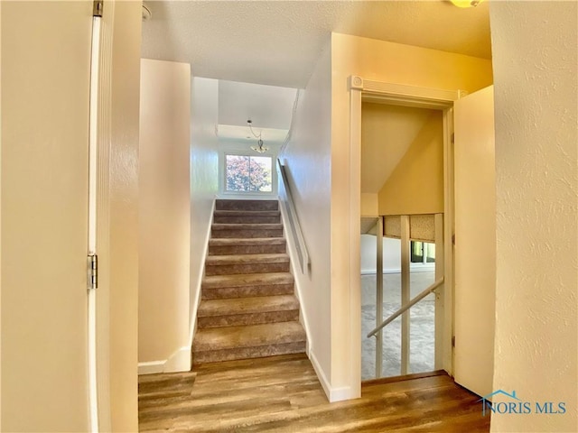 3800 Harrowsfield Rd, Sylvania, OH 43560 - stairway featuring wood finished floors, healthy amount of natural light, and a textured wall