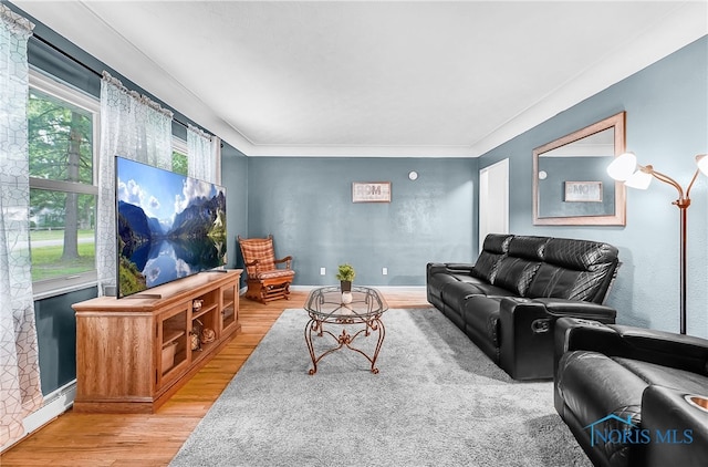 238 Richards Rd, Toledo, OH 43607 - living room featuring light wood-type flooring and baseboards