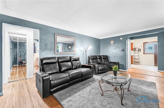 238 Richards Rd, Toledo, OH 43607 - living room with light wood-style floors and a textured wall